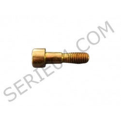 brake disc fixing screw