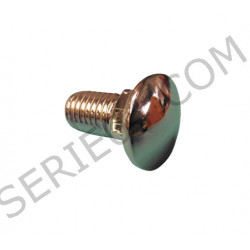 chrome bumper screws