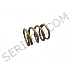 steering rack pusher spring