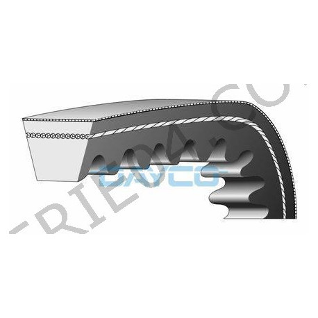 Alternator belt 970 mm