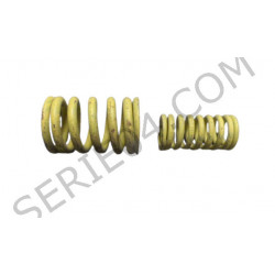 set of 2 valve springs