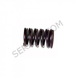 outer valve spring