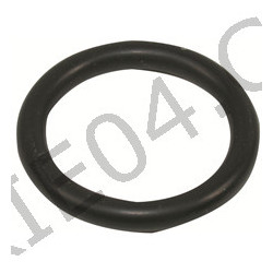 timing cover O-ring