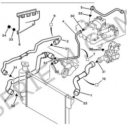 lower radiator hose