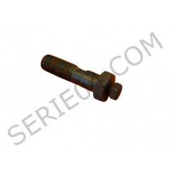 Roto-diesel injection pump bleed screw