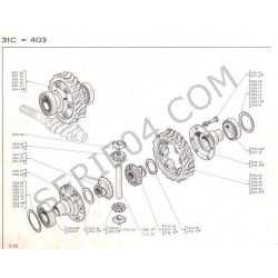 differential 4x19