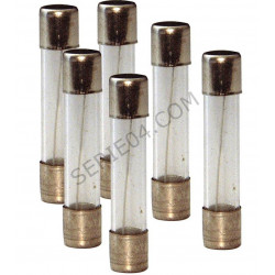 pouch of 6 glass fuses