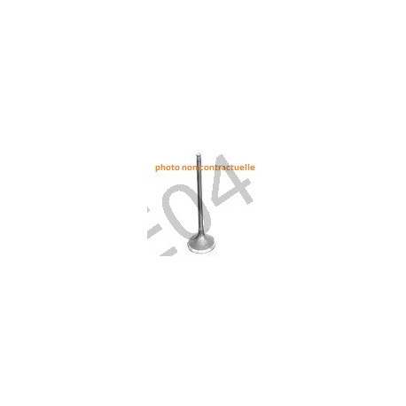 intake valve