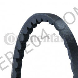 cinturón 10AV675