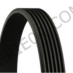 cinturón 6PK1432