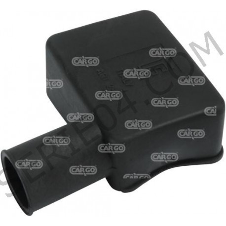 terminale della batteria -