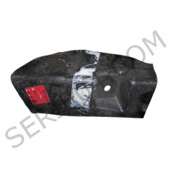 Front light guard