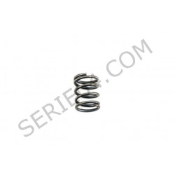 paper oil filter spring