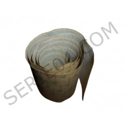 Front fender stripe