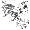 exchange-standard water pump