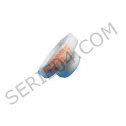 Rear door track roller