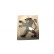 Lion de calandre