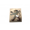 Lion de calandre