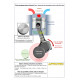 Kit chemises pistons