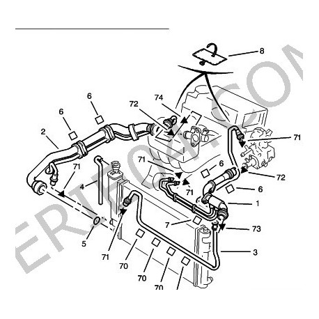Upper radiator hose