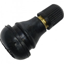 valve with cap