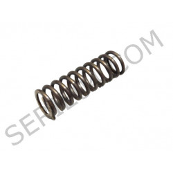 Reverse gear rocker arm spring