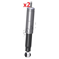 paire d'amortisseurs arrière