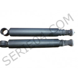 paire amortisseurs arrière