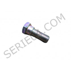 Tornillo del cinturón de seguridad