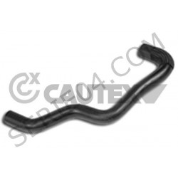 Durite de thermostat