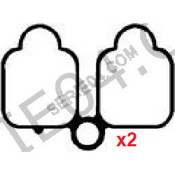 Set of 2 plastic intake manifold gaskets