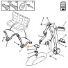cache vis de ceinture
