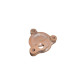 oil pump cover