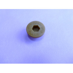 radiator cap