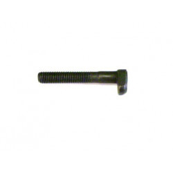 eccentric screw head