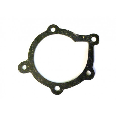 Water pump gasket