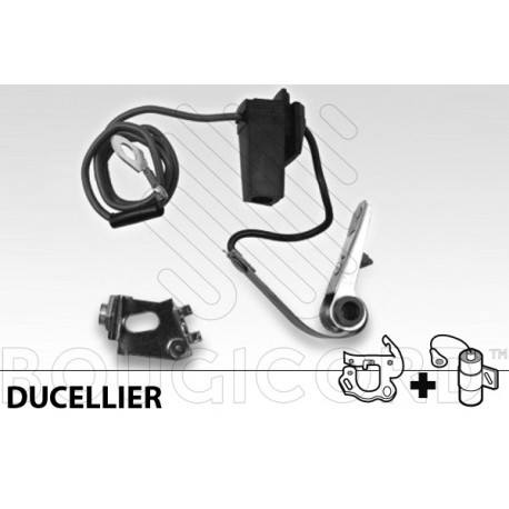 platinierte Schrauben-Set Ducellier