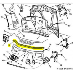 engine hood gasket