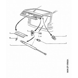 tailgate strut