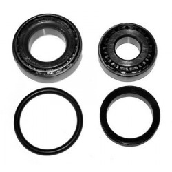 Rear hub bearing kit