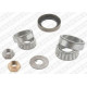 Kit rear wheel bearings