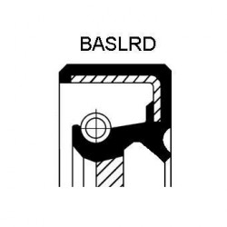 crankshaft oil seal