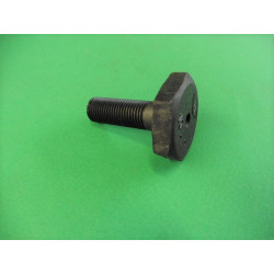 Crankshaft pulley screw