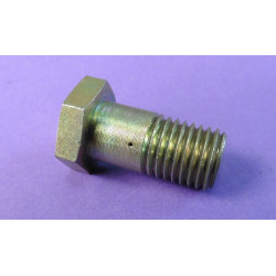 hollow screw