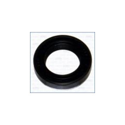 crankshaft seal