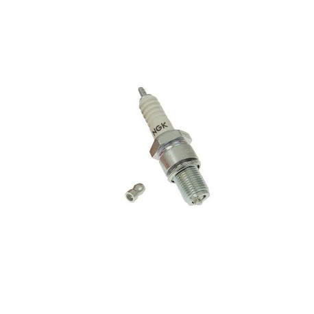 Spark plug