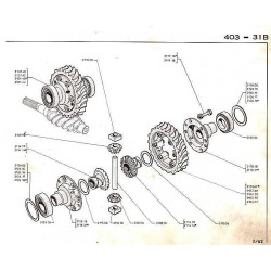 differential shell