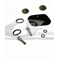 Repair Kit vacuum pump valves