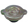 tapón de radiador
