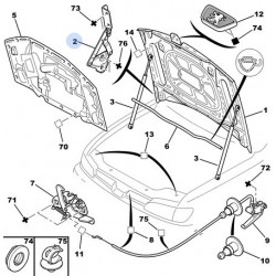 vérin de capot moteur